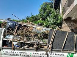 Best Garage Cleanout  in Placitas, NM