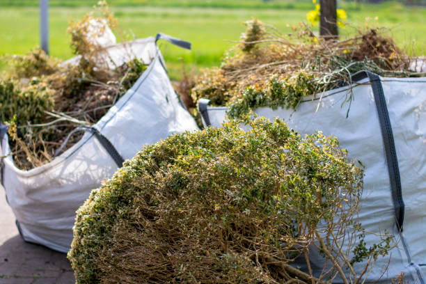 Best Recycling Services for Junk  in Placitas, NM
